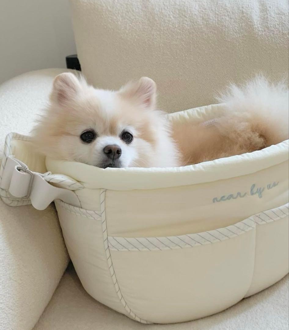 キャリーバッグ・スリング near by us tartebag