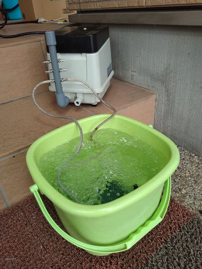 【安永（EP-80E-L）80L】ダイアフラム　エアポンプ　ブロワー　浄化槽