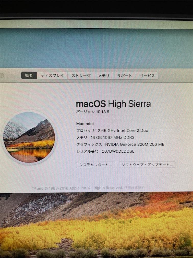 Macデスクトップ Mac mini Mid 2010 Core2Duo 16GB 750GB