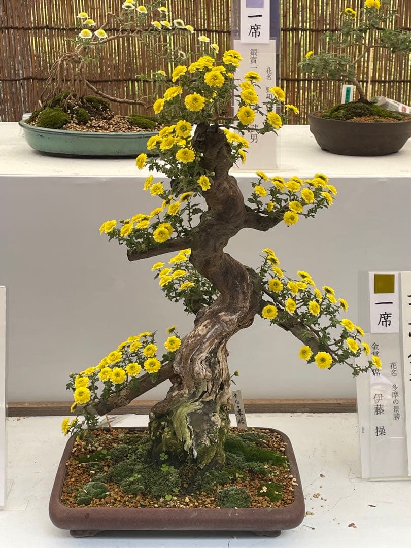 Iphone12 ブラック64GB SIM フリー［カメラ実用性◎］