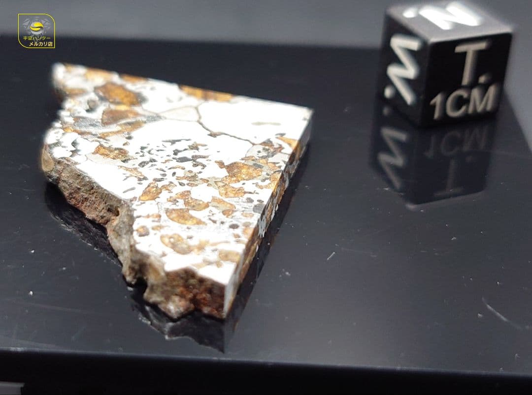 隕石 Hassi El Biod 002 パラサイト 12.23g⭐