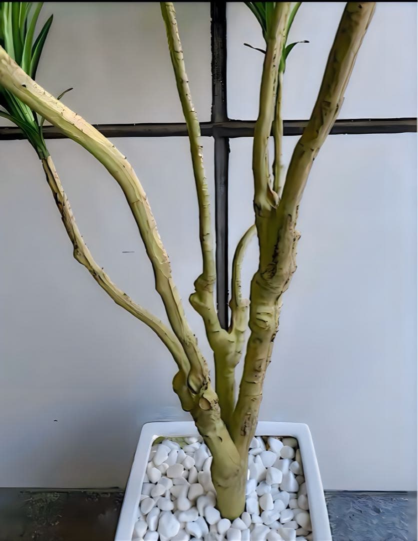 光触媒　人工観葉植物　ウォールグリーン　フェイクグリーン　コンシンネ150a1