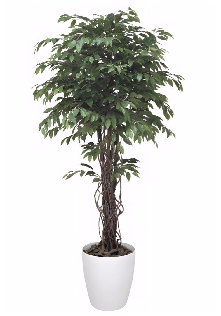 光触媒　人工観葉植物　フェイクグリーン　ベンジャミンリアナ1.8