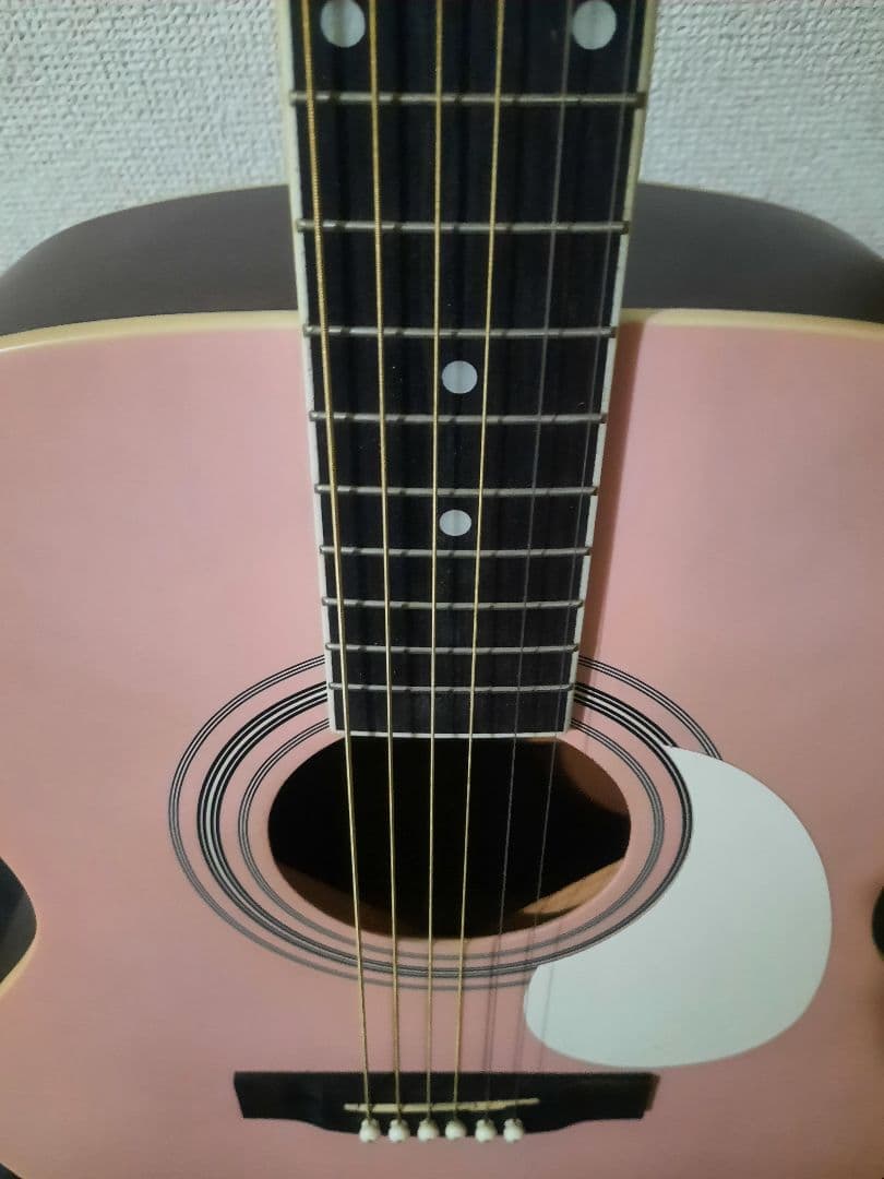 HONEY BEE アコースティックギター F-15 SKR