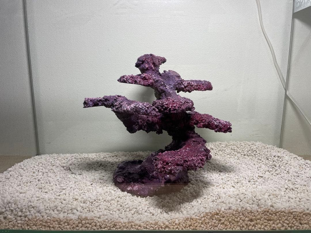 人工ライブロック　SHR25 アク抜き済み安心塗料使用