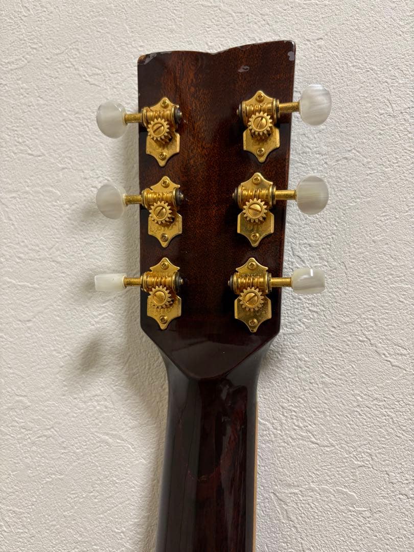 ギター History / NT-501