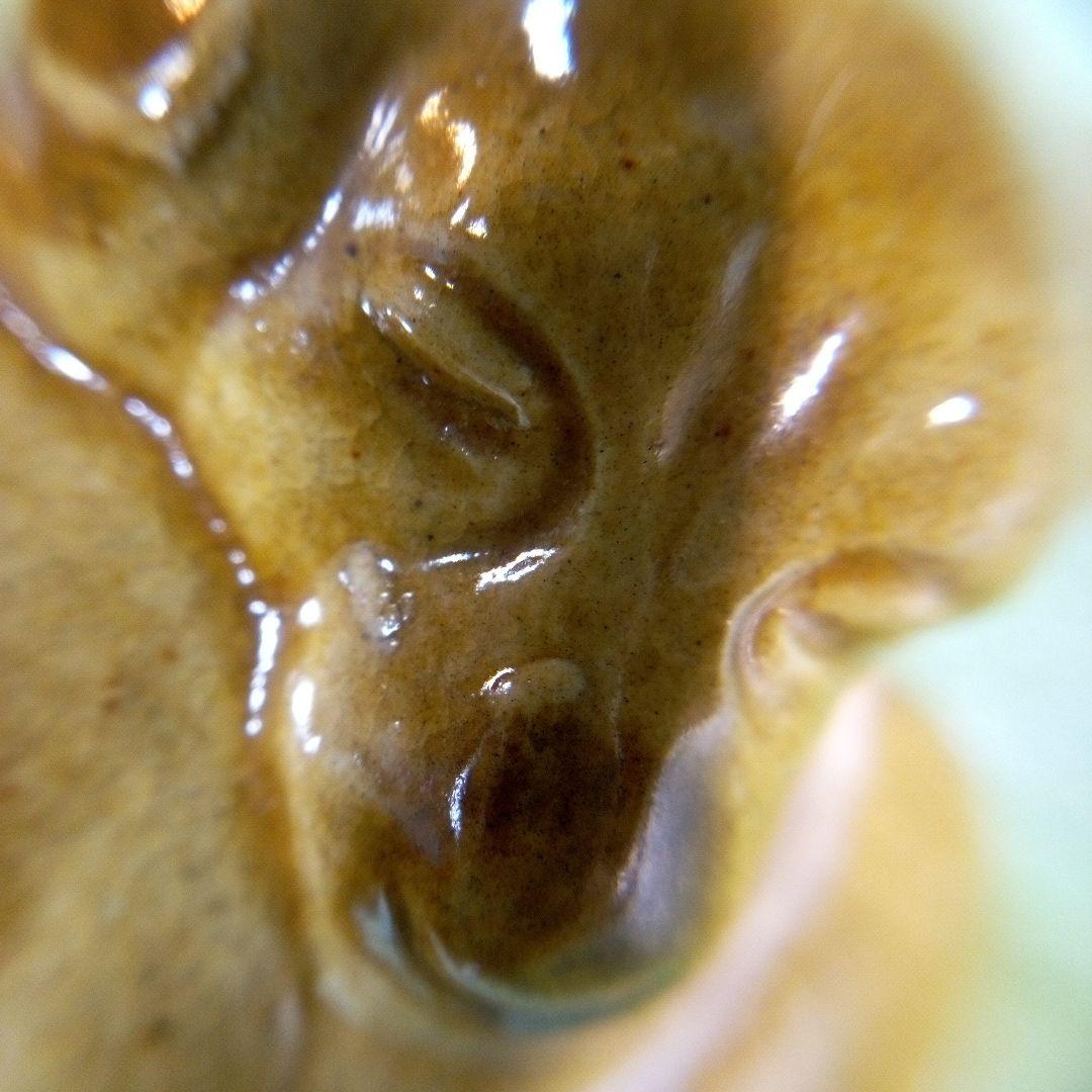 優しい表情で寝ている犬の香合　陶器製？　茶色　德？　徳？　干支香合　犬香合　レア