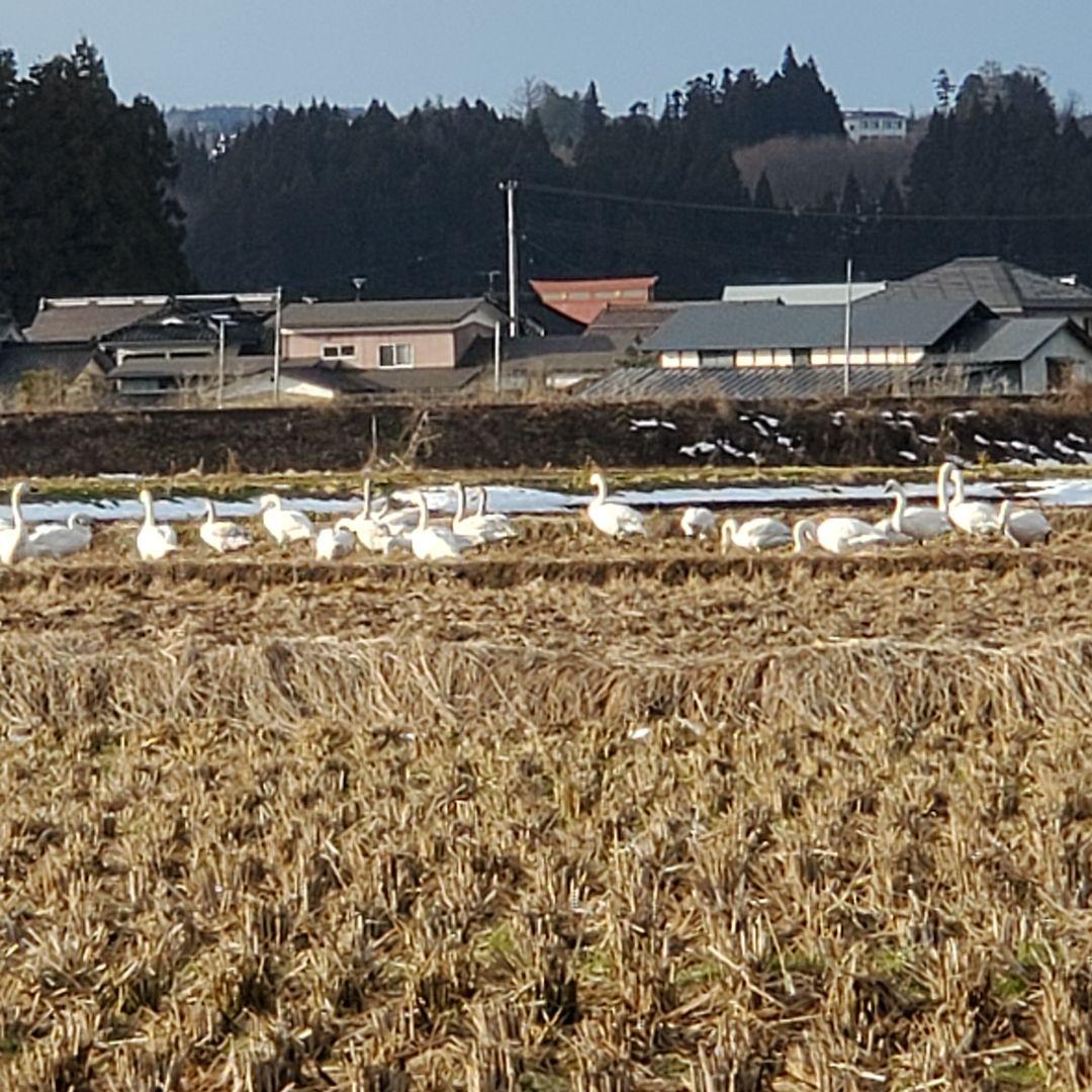 Canon 一眼レフ　フィルムカメラ＋レンズまとめて