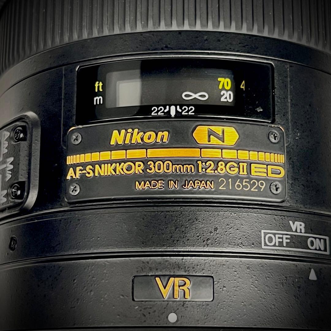 【極上美品】希少Nikon AF-S 300mm F2.8G ED VR II