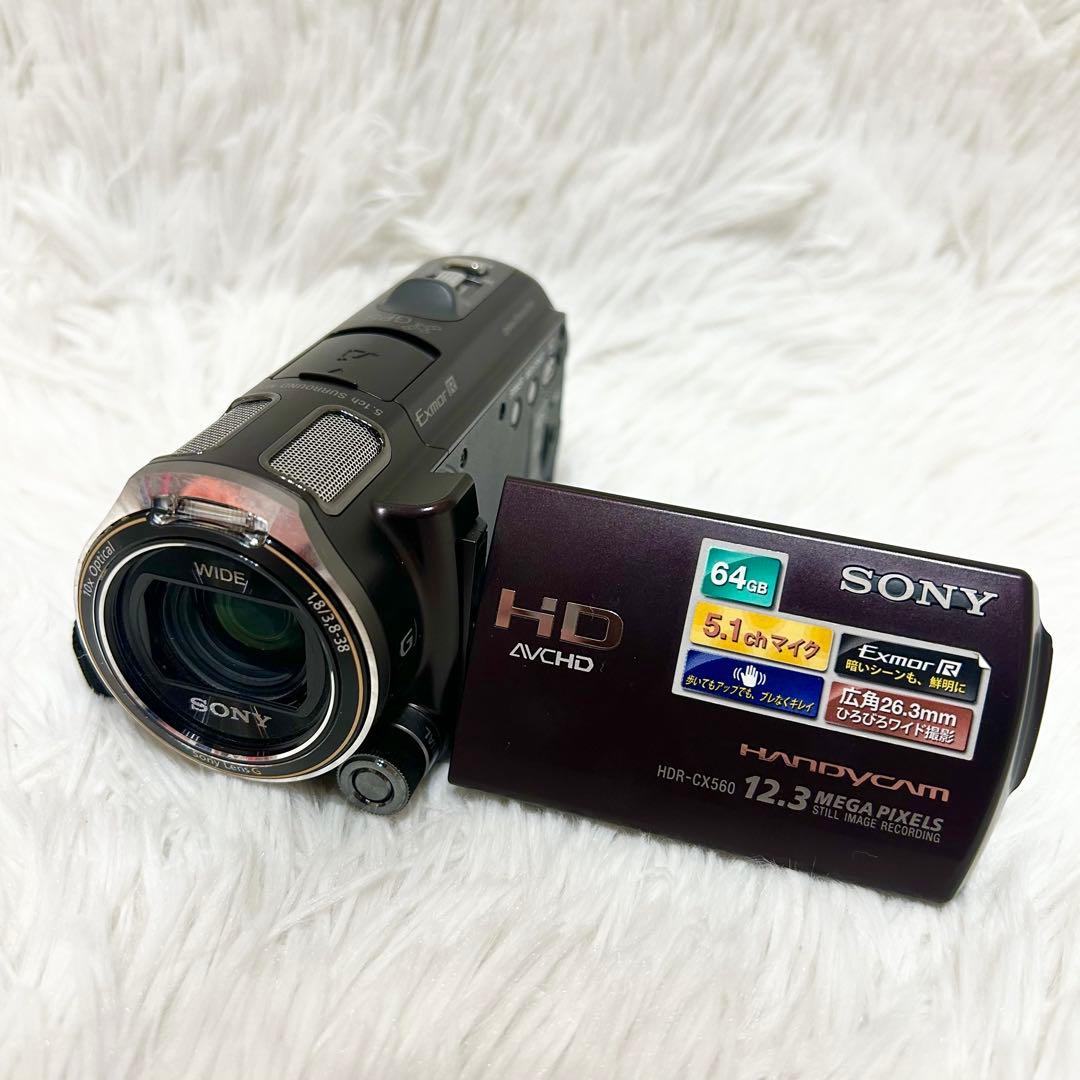 未使用級✨動作◎✨SONY HDR-CX560V ハンディカム 即使用セット付✨