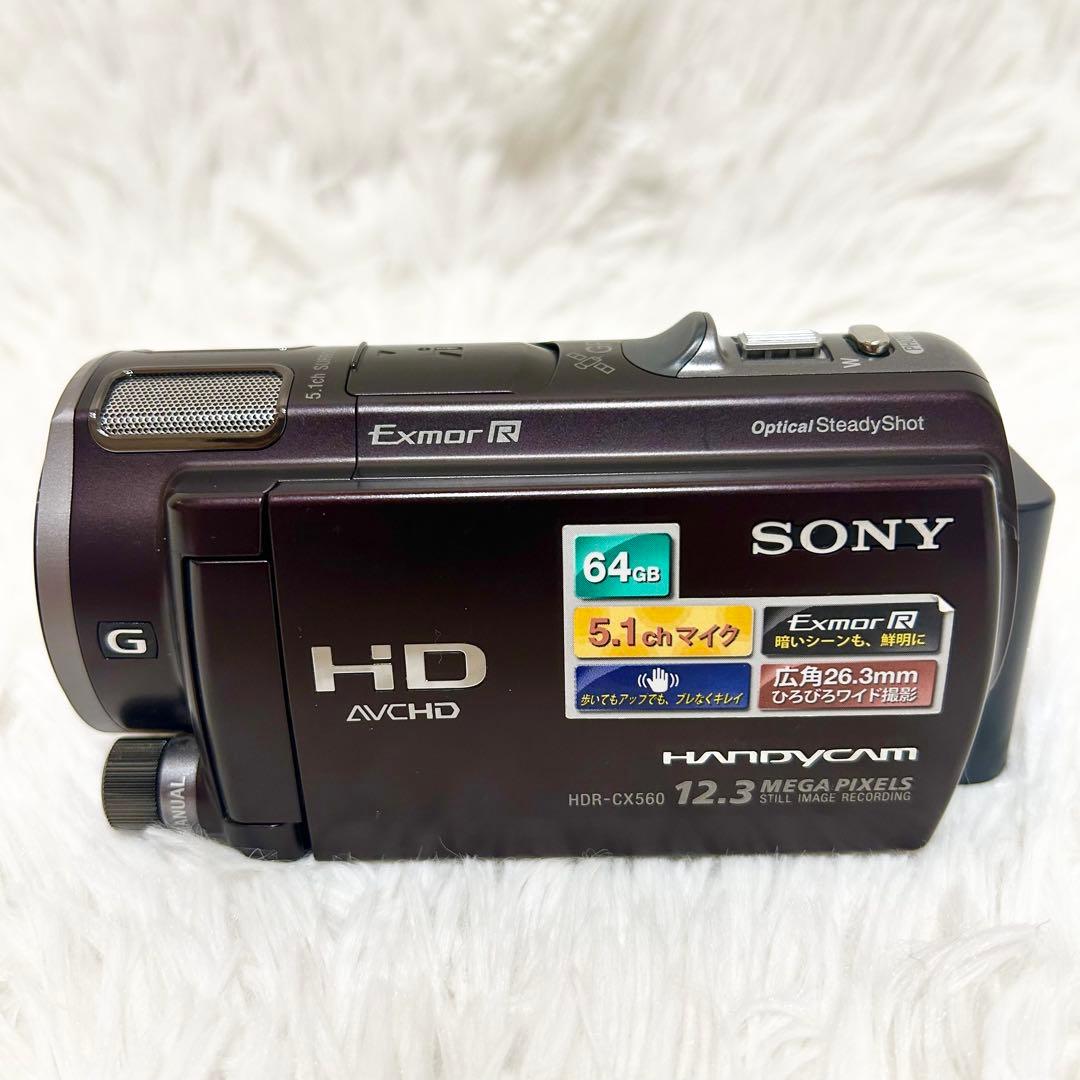 未使用級✨動作◎✨SONY HDR-CX560V ハンディカム 即使用セット付✨