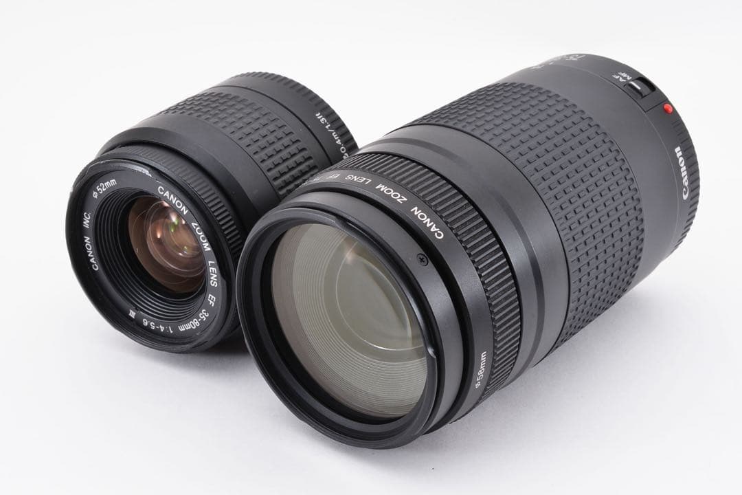 キャノン Canon EOS 9000D標準&望遠ダブルレンズセット