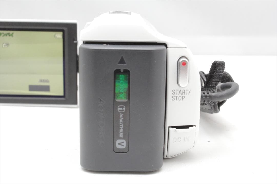 かのデール ！SONY HDR-CX480　ビデオカメラ