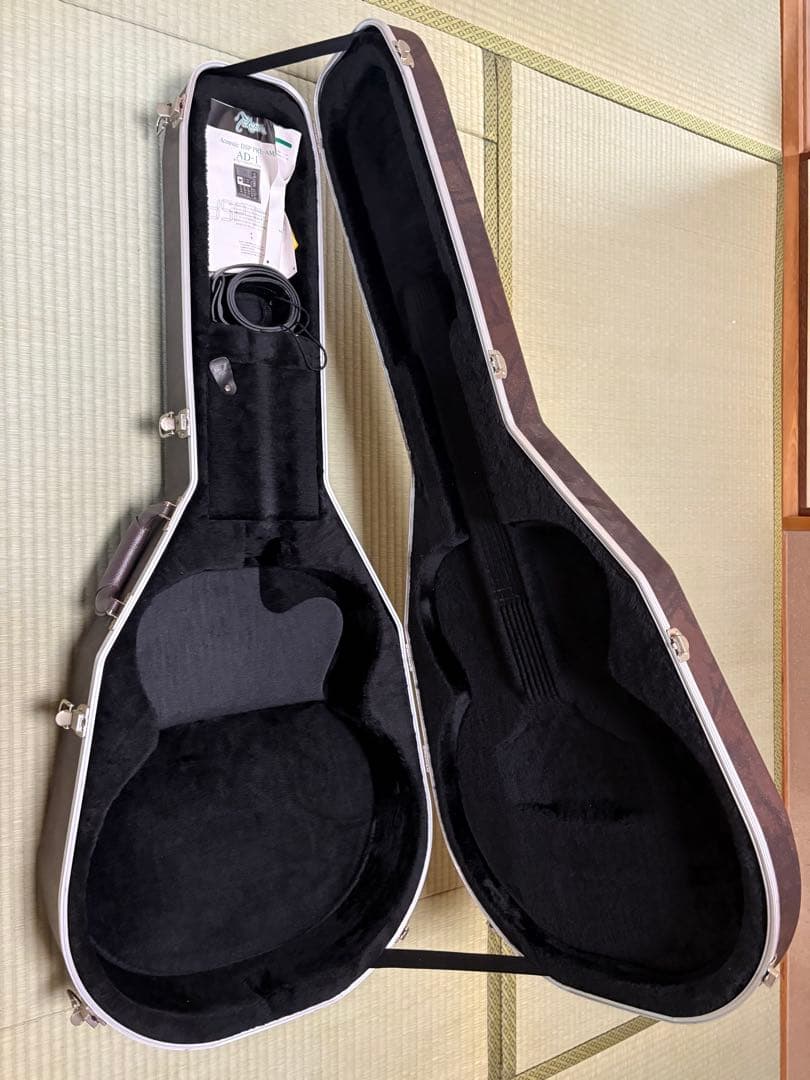 【美品】Takamine アコースティックギター サンバースト ハードケース付き