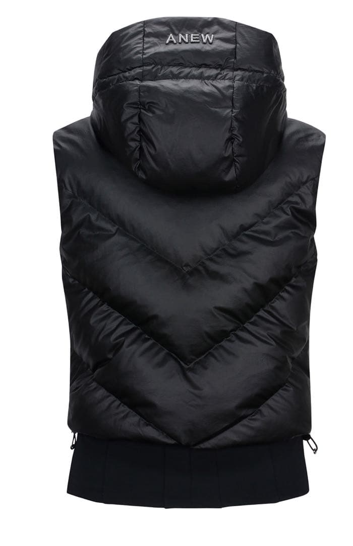 ☆ANEW GOLF☆ アニュー　HOODY DOWN VT