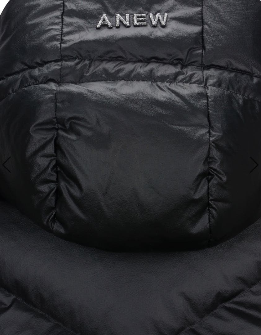 ☆ANEW GOLF☆ アニュー　HOODY DOWN VT