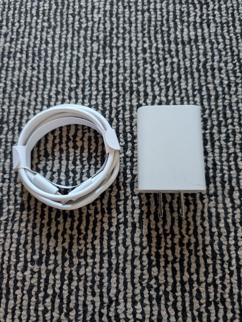 iPad Pro11 (第3世代) 128GB cellular M1 おまけ付