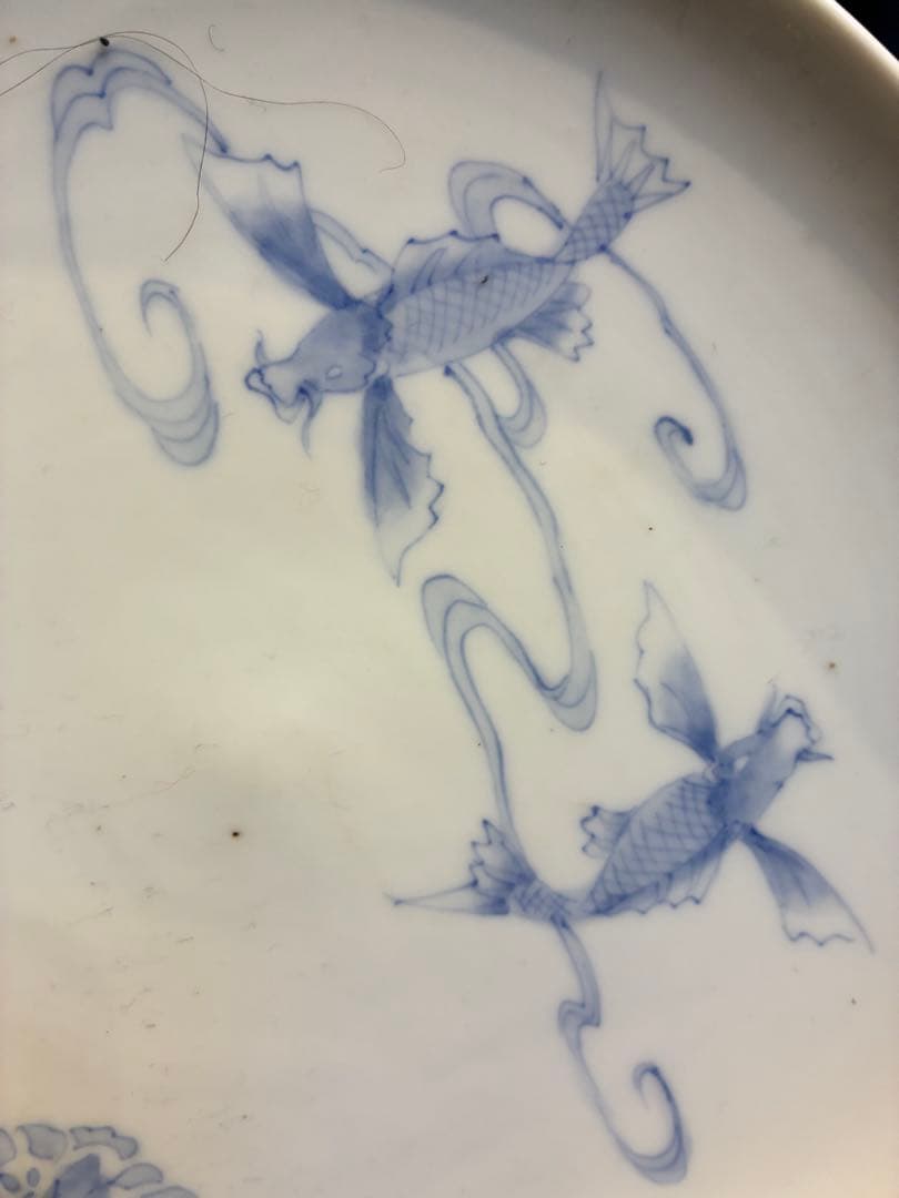 古伊万里写し　十二代武村利左衛門　染付七寸皿　5枚　傷無し金魚と丸紋