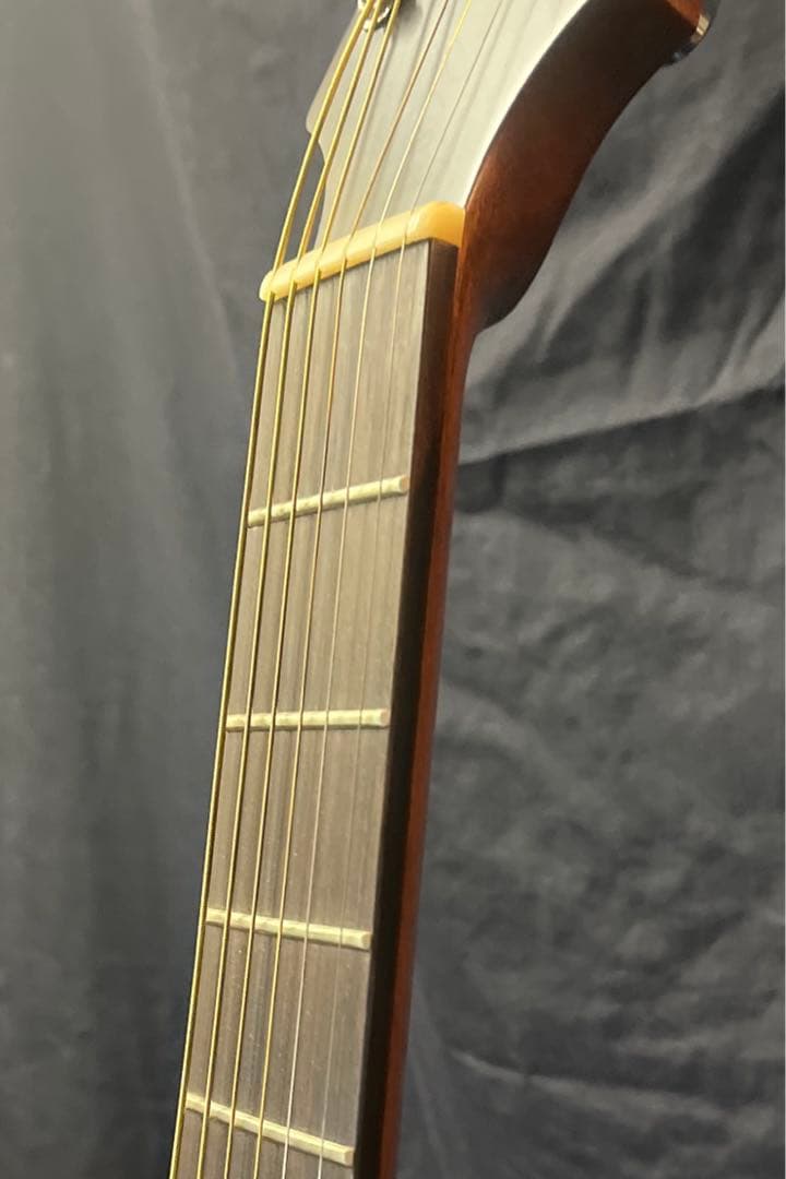 Ibanez PA230E-NSL エレアコ