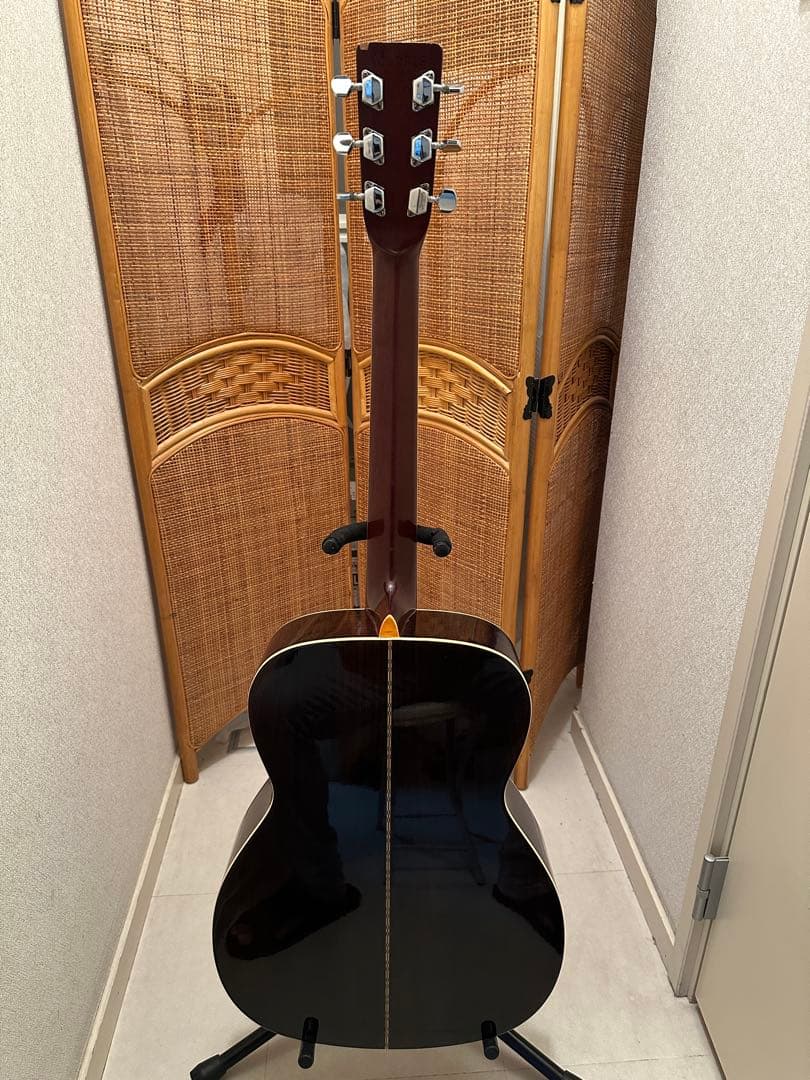 Morris(モーリス) F-20 King Gnu 常田大希氏使用モ