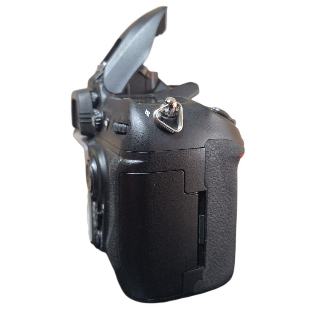 Nikon D200 ボディ ジャンク｜付属品多数 元箱 MC-30付