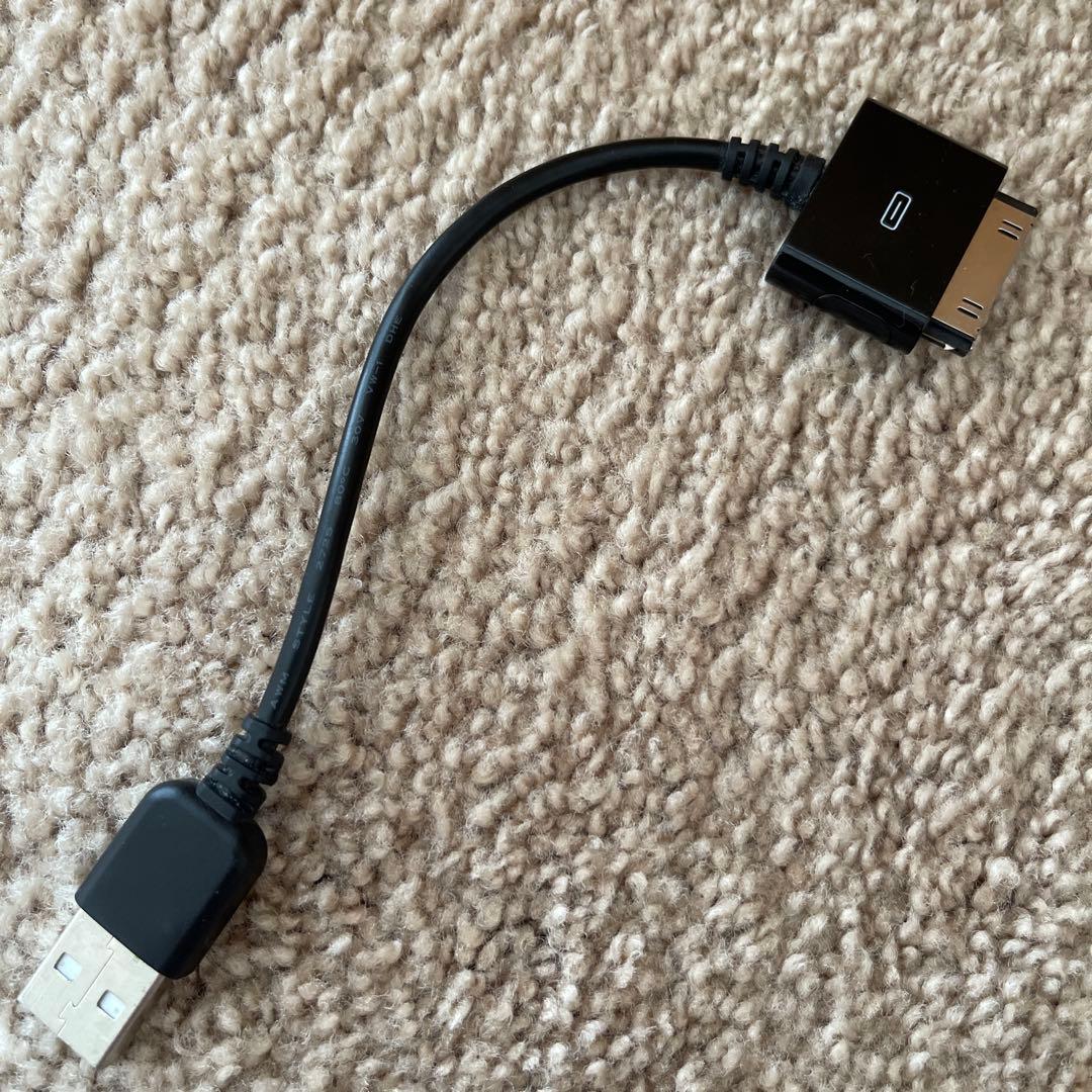 iPod nano 第3世代 8GBブラック動作確認済 ケーブル付き Apple