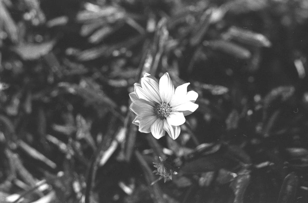 整備済完動品 PENTAX K1000 SE + SMC PENTAX 55mm