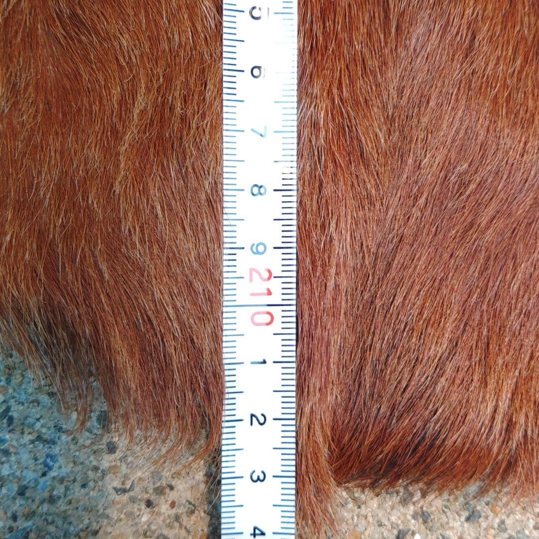 レザー　ラグ　敷物　ハラコ