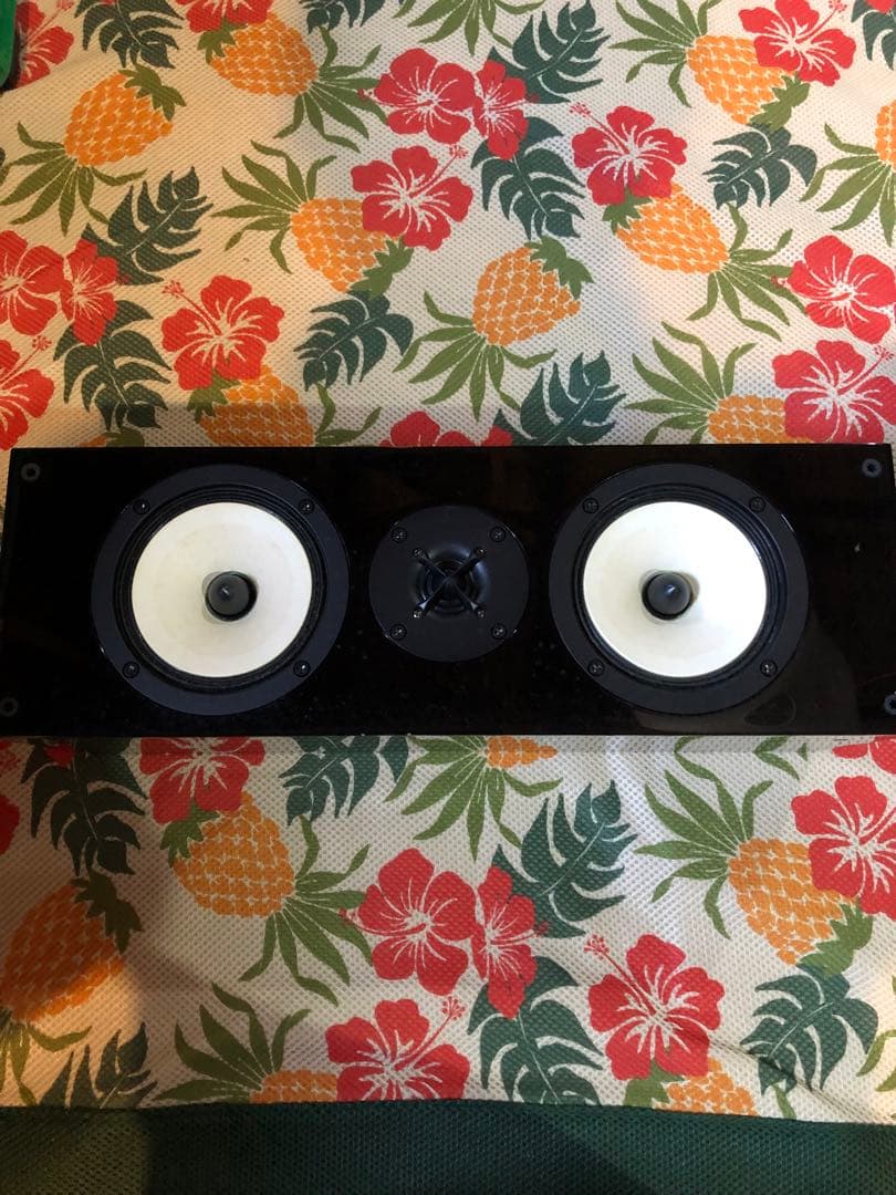 ONKYO オンキョー センタースピーカーシステム D-509C センター