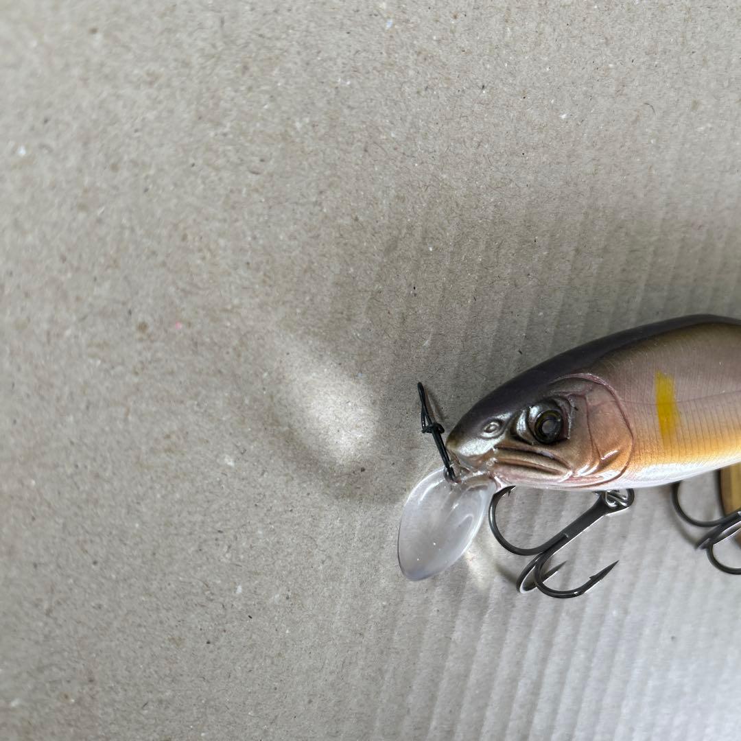 最終値下げ　ニシネルアーワークス　オチアユミノー　ナガラアユ