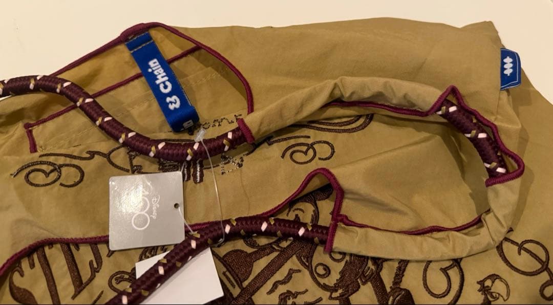 【正規品・廃盤☆レア！未使用品】ディズニー 100周年記念モデル 限定 バッグ