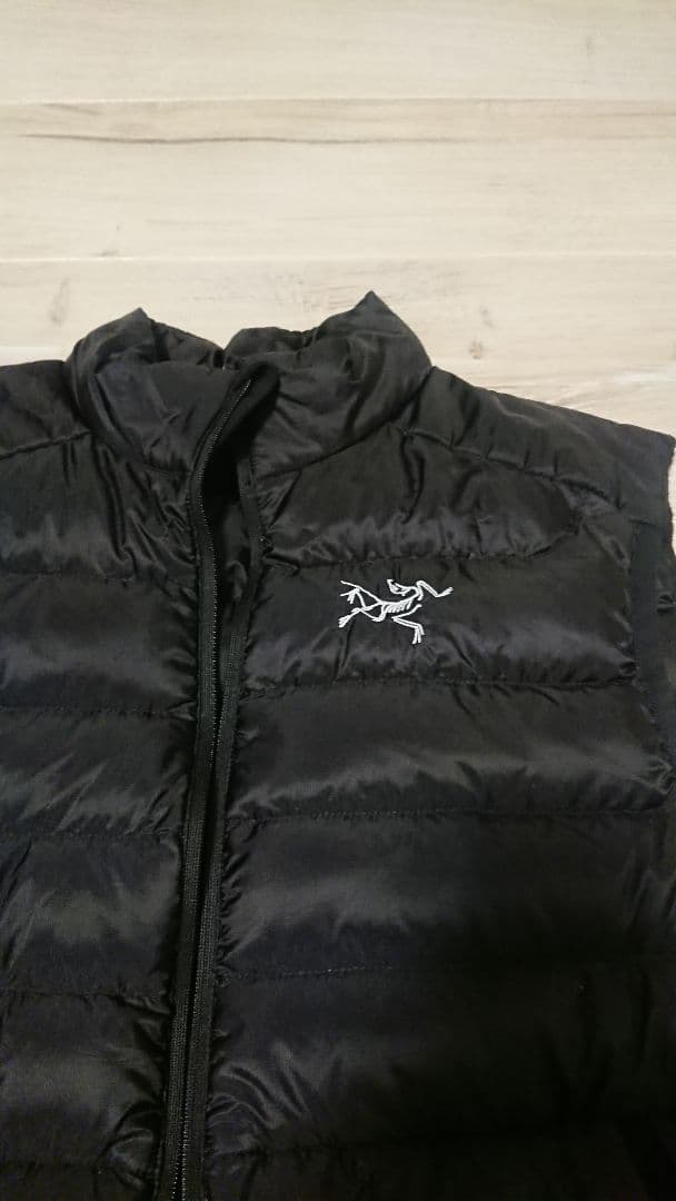 Arc'teryxアークテリクスCerium LT VestセリウムLTベスト