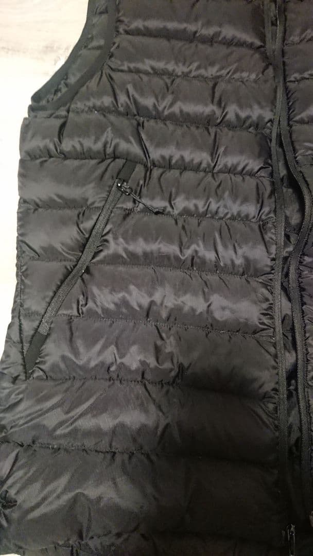 Arc'teryxアークテリクスCerium LT VestセリウムLTベスト