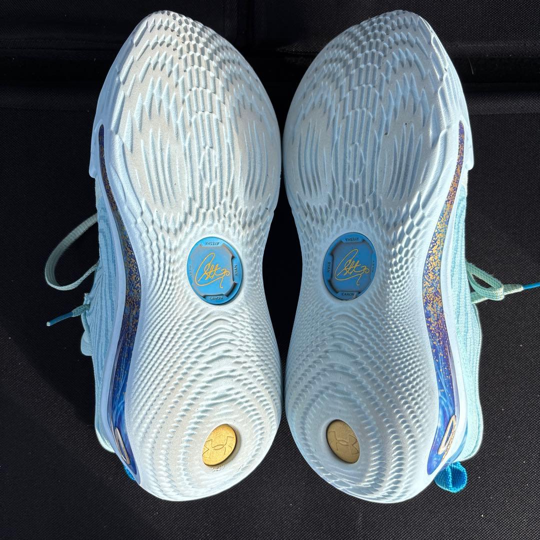 シューズ(男性用) UNDER AROMOUR curry 12 pisces