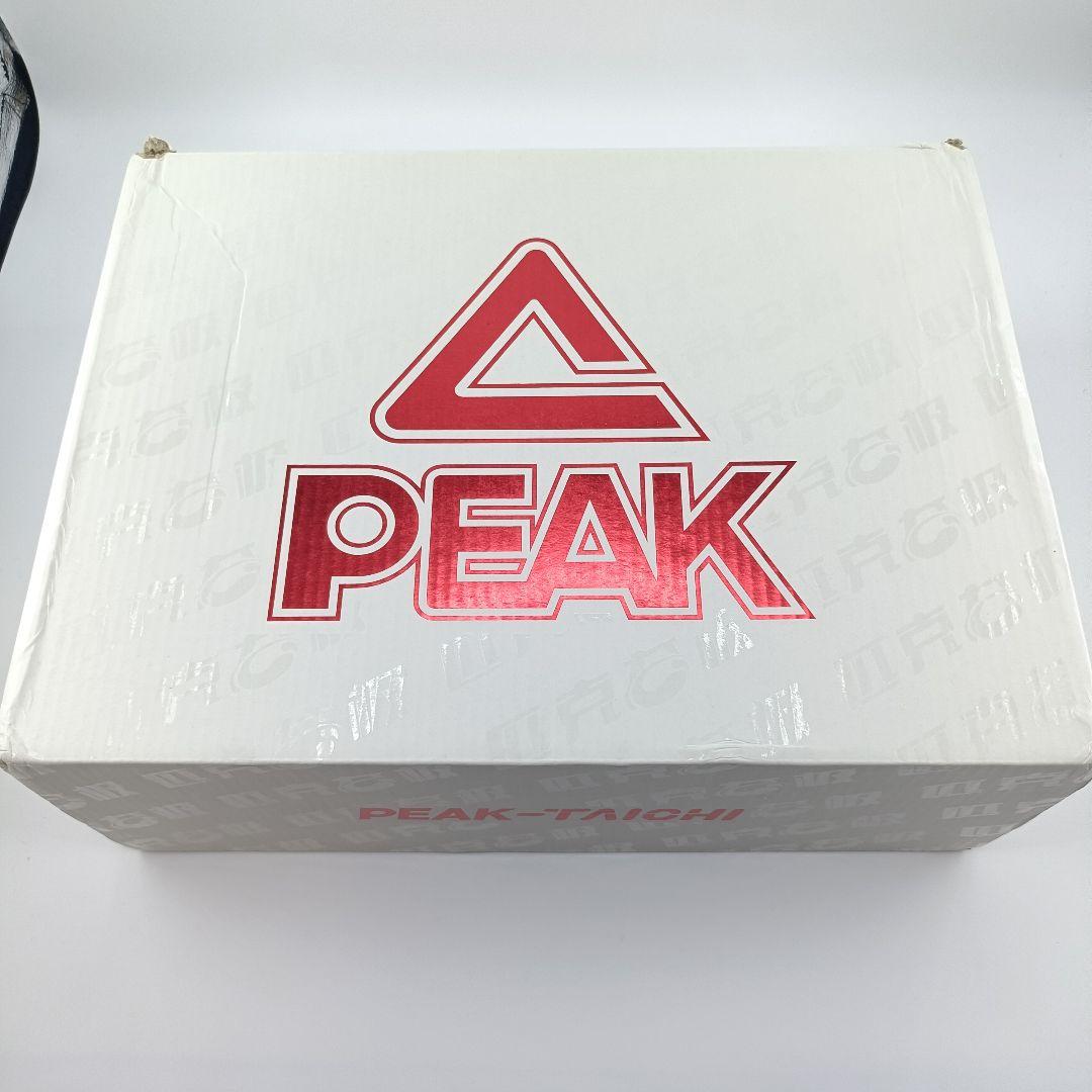 シューズ(男性用) PEAK AW Talent 3 AndewWiggins US10.5 AE2