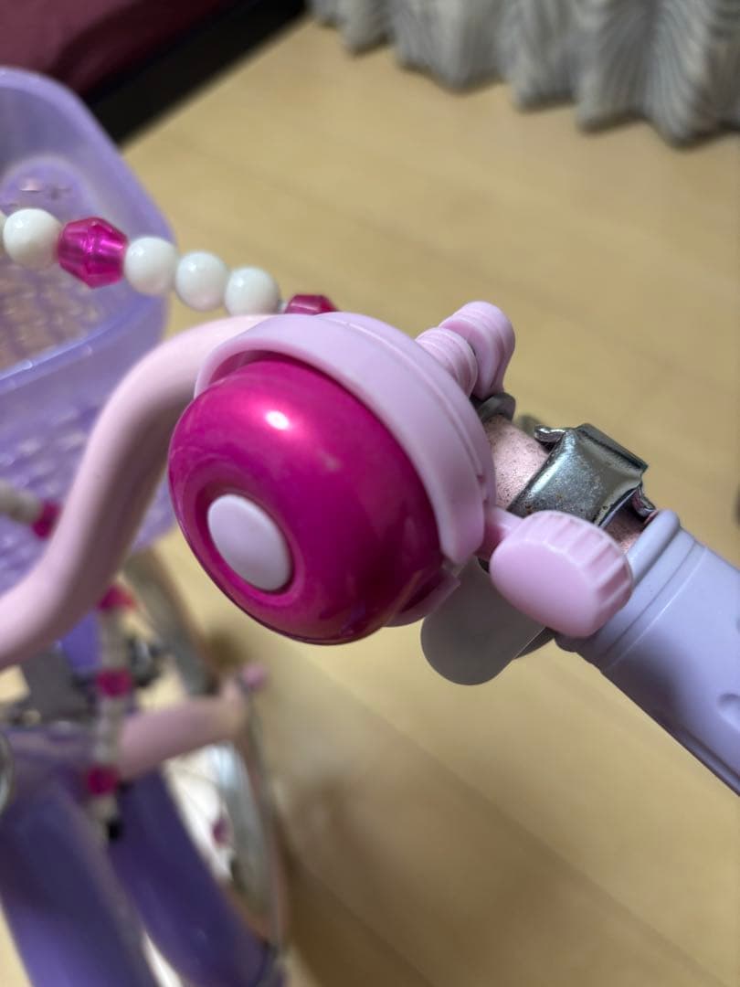 プリンセス・ソフィアデザイン16インチ