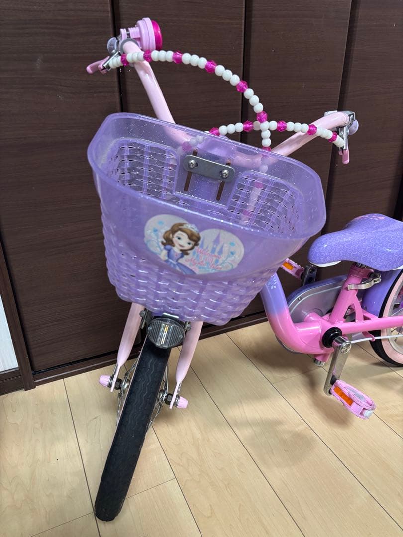 プリンセス・ソフィアデザイン16インチ