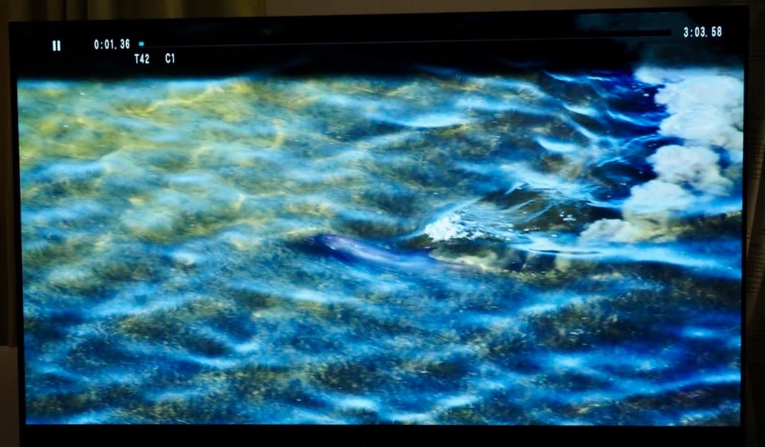 Panasonic GZ2000 55v 有機elテレビ