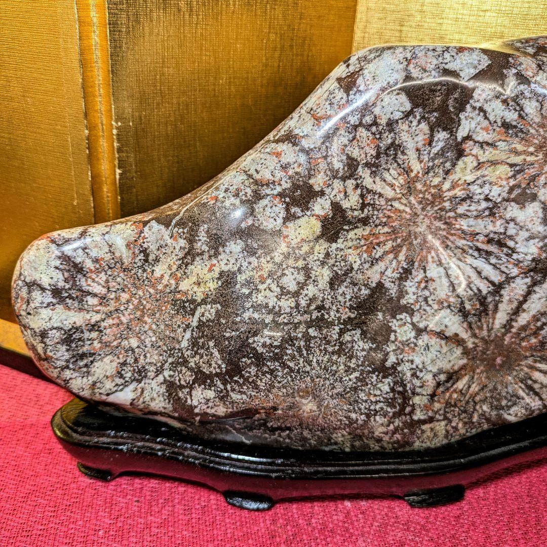 【Gojyo】菊花石 岐阜県根尾谷産5.2㌔ 鑑賞石 観賞石 水石 盆石