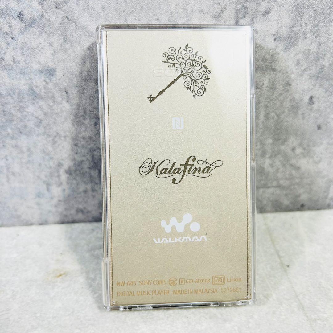 kalafina SONY ウォークマンNW-A45HN 専用クリアケース付き