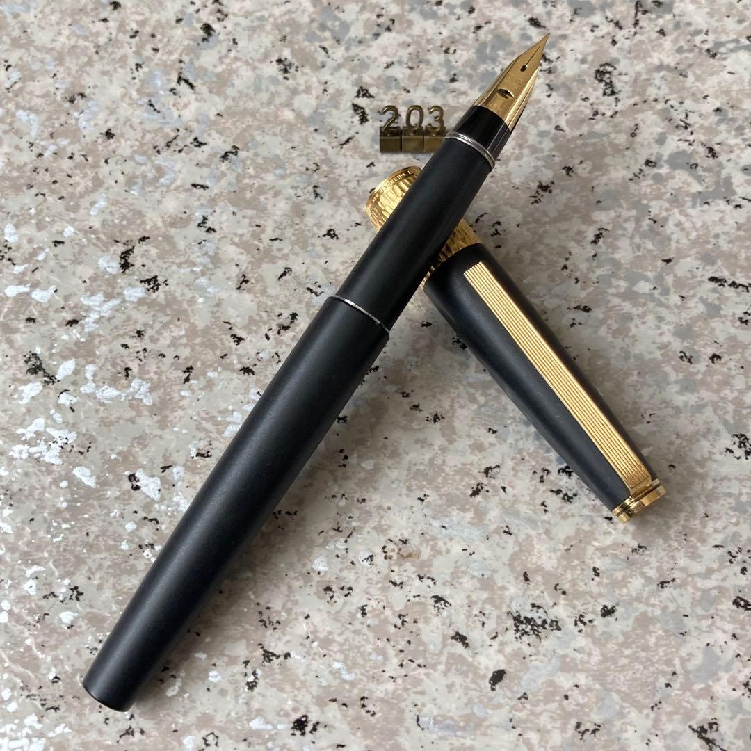 #203 オーバーホール済み 万年筆 PILOT 槌目 22KAGM 18k