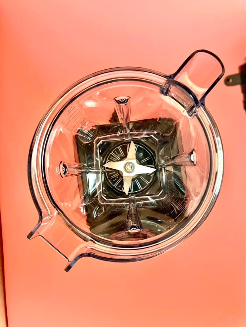 バイタミックス Vitamix ブラック E520 VM0202A