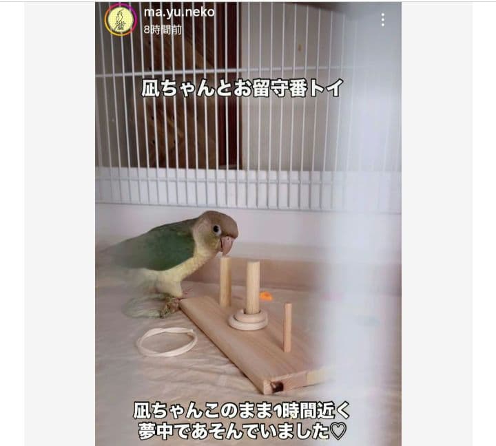 インコ　フォージングトイ　輪投げセット　バルサ　スタンドパーチ　バードトイ