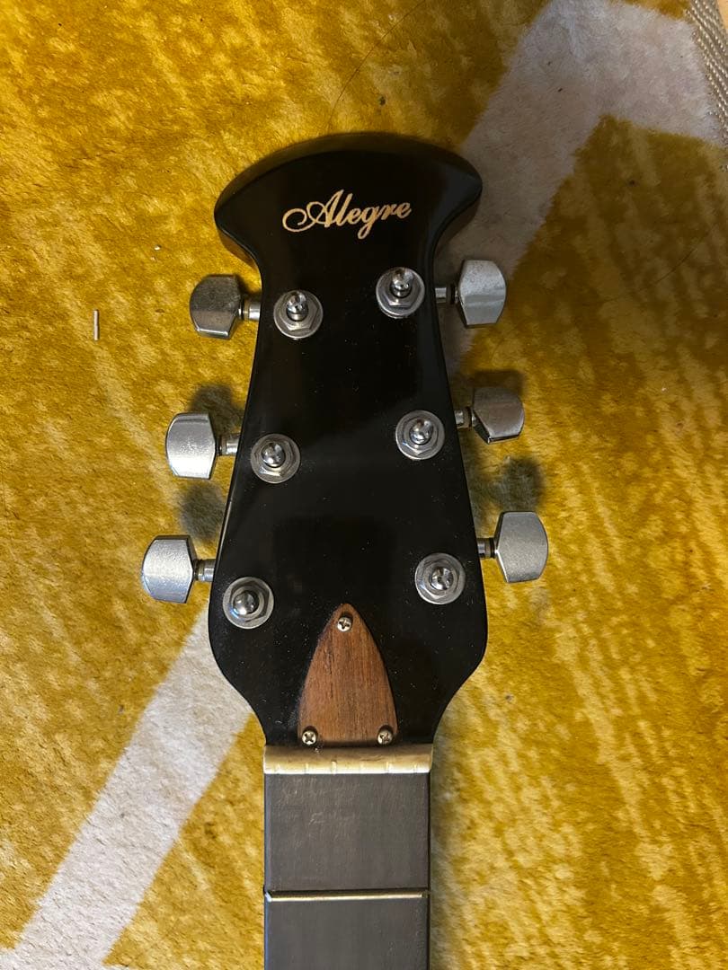 Alegre アコースティックギター　純正ピックアップ付