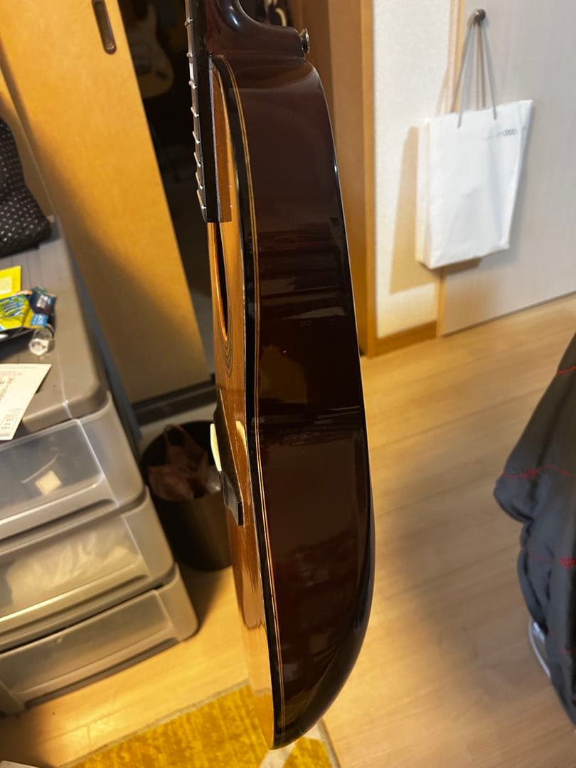 Alegre アコースティックギター　純正ピックアップ付