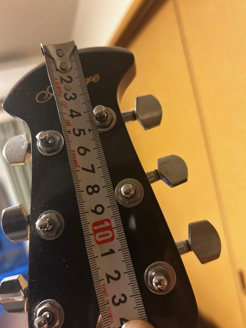 Alegre アコースティックギター　純正ピックアップ付