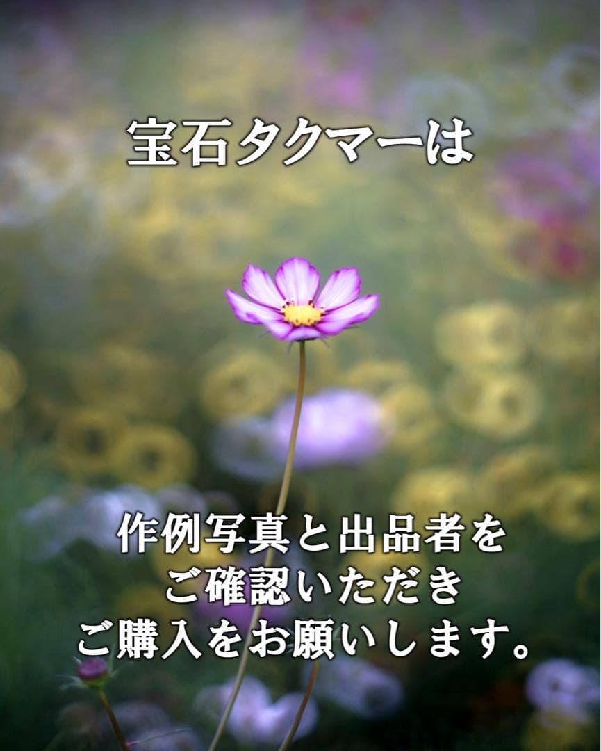 宝石レンズ_SMC_Takumar 55mm_f1.8_ay