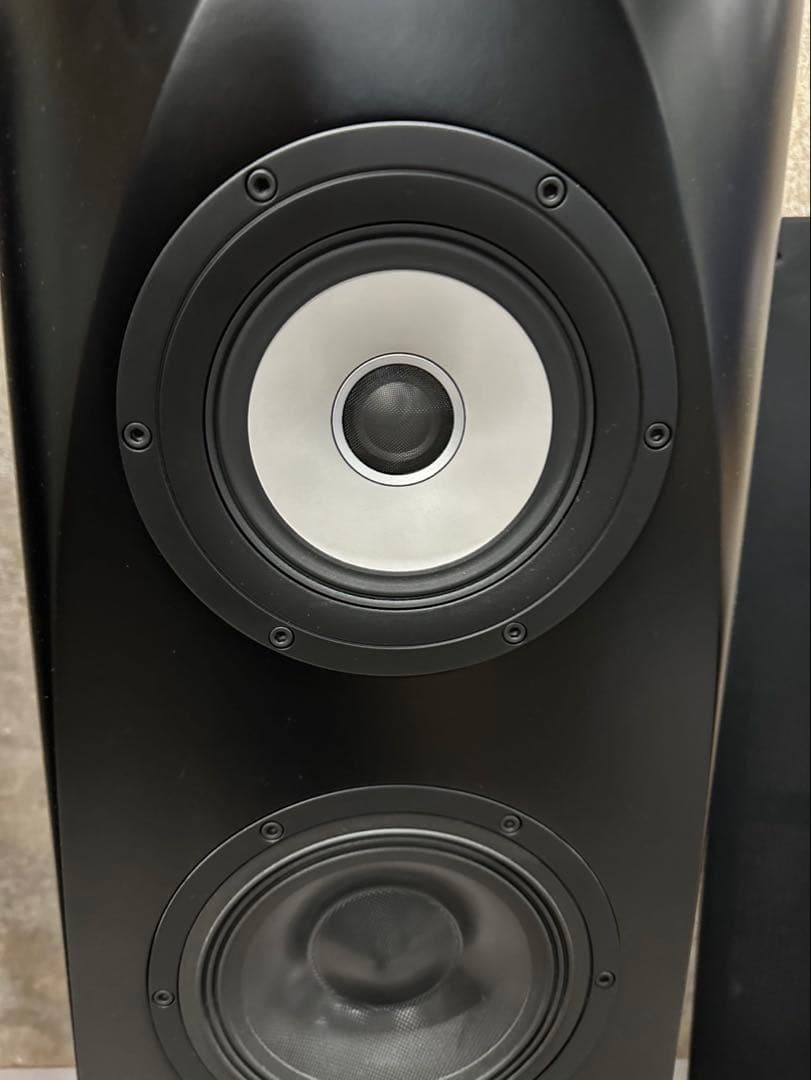 Pioneer S-1EX 1本 000323 TAD/AIR Studios