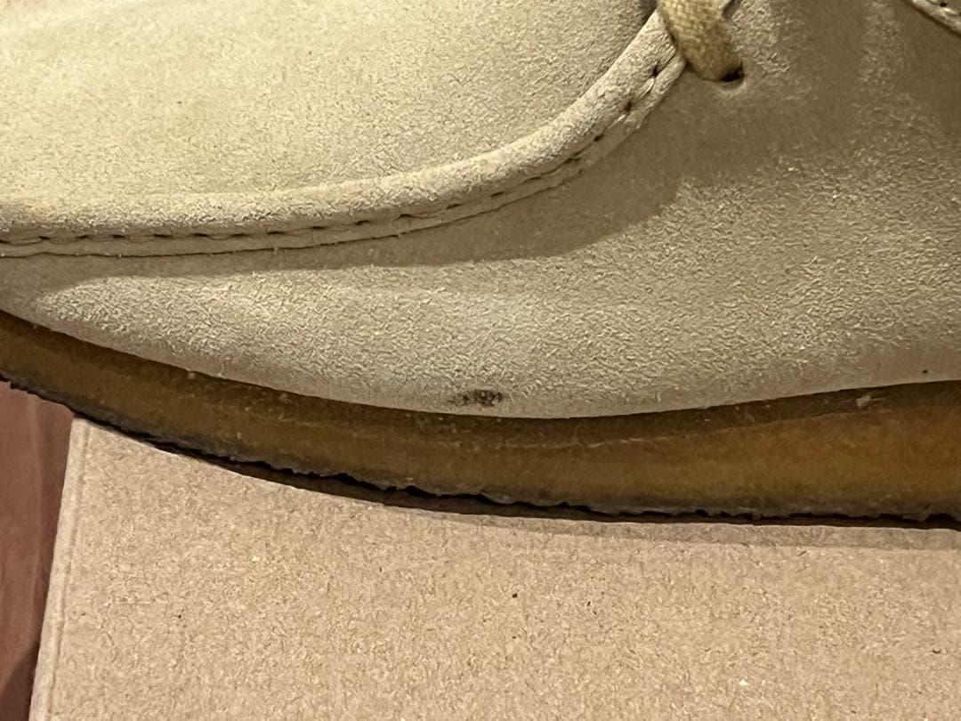 クラークスワラビー