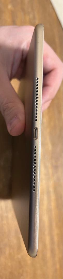 美品　Apple iPad Air 2 Wi-Fi 64GB Gold 本体